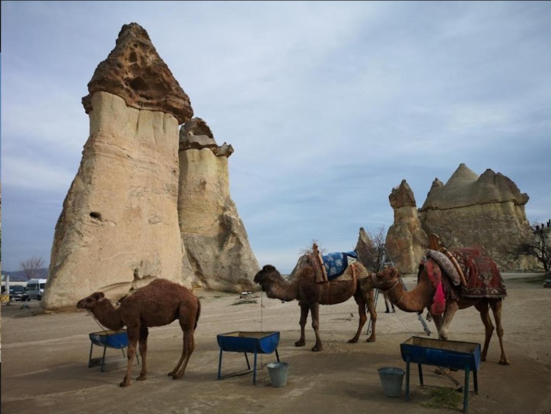 Sandik Cave Suites Nevsehir Exterior photo